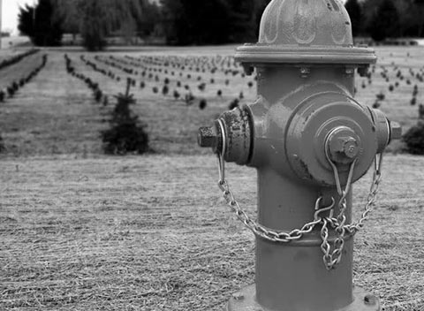 数据保密严格的网站攻击源码